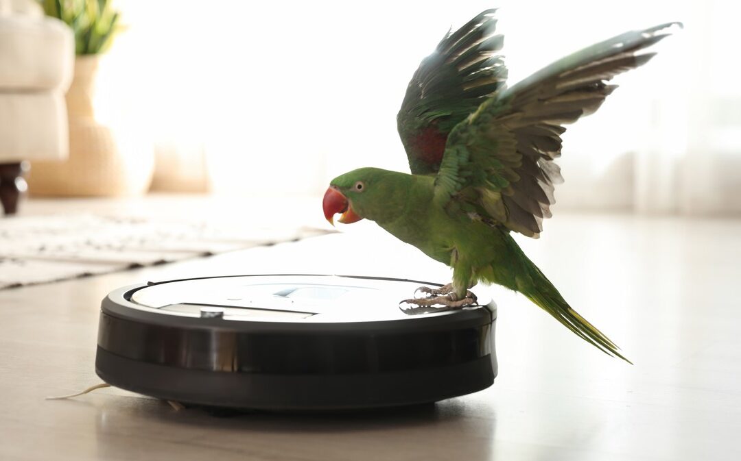 For the Love of God, AI Chatbots Can’t ‘Decide’ to Do Anything